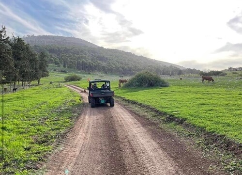 טיולי רייזרים בעמק יזרעאל ובגלבוע