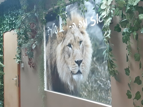 הצופן הזוגי חדרי בחירה