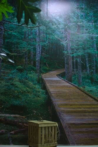 הצופן הזוגי חדרי בחירה