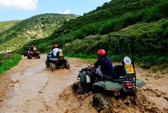 תמונה של טרקטורוני דישון