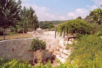 תמונה של מי קדם - פארק אלונה