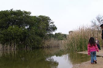 תמונה של פארק ניצנים - חוף ניצנים