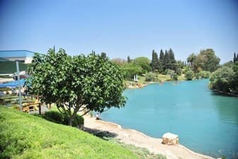 תמונה של ימי כיף וגיבוש בניר דוד