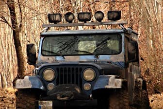 תמונה של ג'יפים איילת השחר