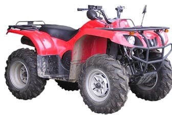 תמונה של כלניטריפ