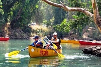 תמונה של רוב רוי