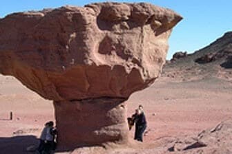 תמונה של אקו טיולי מדבר