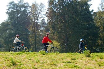 תמונה של גיאופן