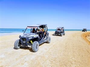 תמונה של פרא המדבר