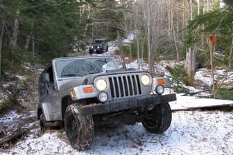 תמונה של רימוני הגליל