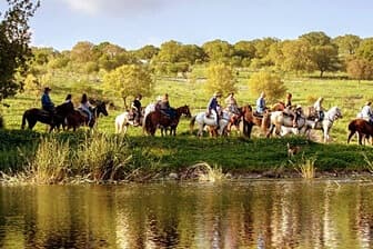 תמונה של חוות דובי