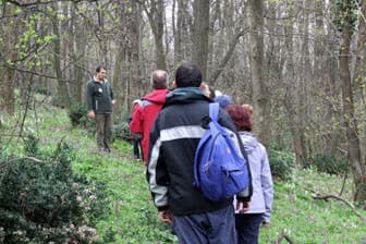 תמונה של טבע ברמה