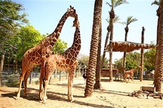 תמונה של חי פארק קרית מוצקין