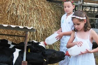 תמונה של שביל פרות החלב