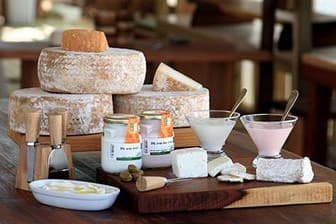 תמונה של מחלבת צאלה