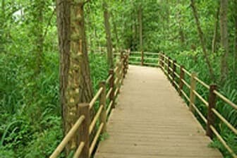 תמונה של טיולי דני