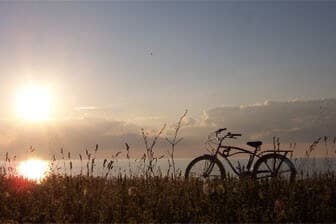 תמונה של גלגלוצה