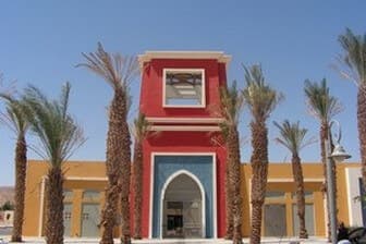 תמונה של צל תמרים