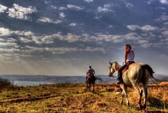 תמונה של ורד הגליל- חוות סוסים