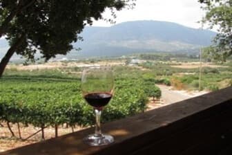 תמונה של יקב לוריא