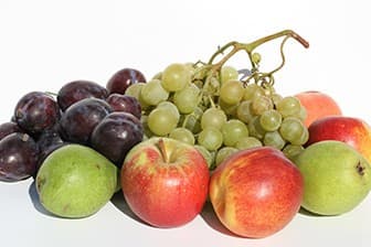 תמונה של בראשית