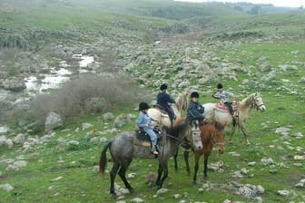 תמונה של על הסוס
