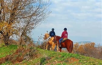תמונה של חוות הבוקרים מרום גולן