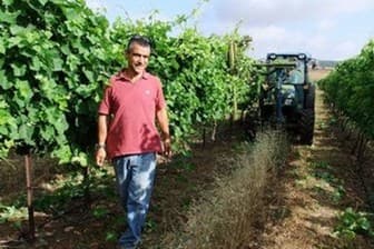 תמונה של יקב אורטל