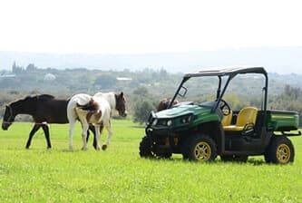 תמונה של בשביל האושר - סוסים וריינג'ר