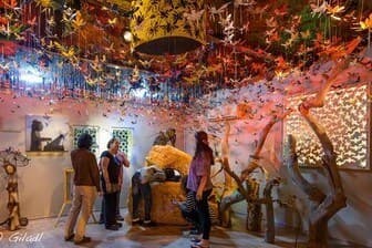 תמונה של מרכז המבקרים מכוורת פורת