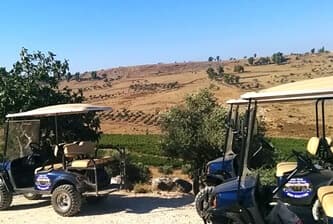 תמונה של ג’יפונים - אור הגנוז