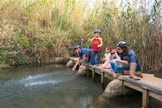 תמונה של טיולי הדן
