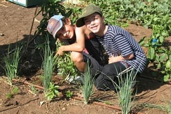 תמונה של אוריגני - חווה אורגנית