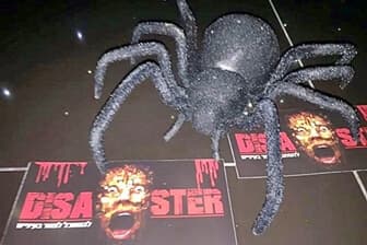 תמונה של בית האימה - Disaster