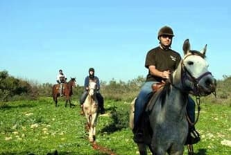 תמונה של חוות מונפורטויטו