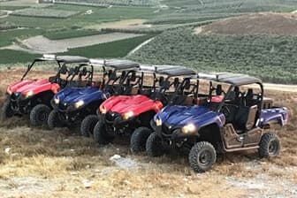 תמונה של טרקטורוני אריות השפלה