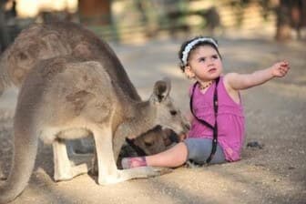 תמונה של גן גורו ניר דוד