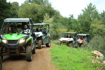 תמונה של טרקטורוני נוף הורדים
