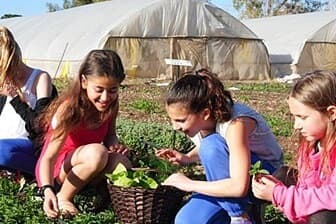 תמונה של קטופותי