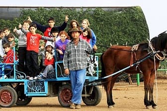 תמונה של החווה הצ'רקסית