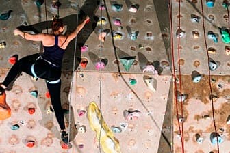 תמונה של הדב הלבן