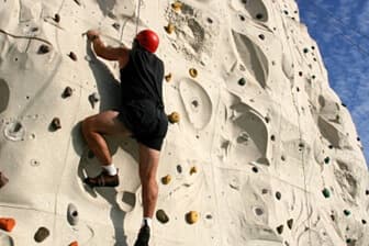 תמונה של טיפוס אורבני