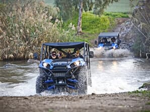 תמונה של פיני בשטח