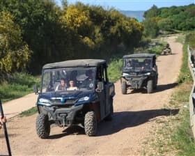 תמונה של טיולי טרקטרונים שבילי הנחל