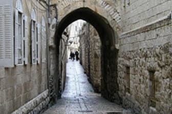 תמונה של טיילת שרובר