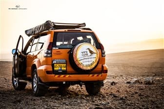 תמונה של ציפור מדבר טיולים וסיורים