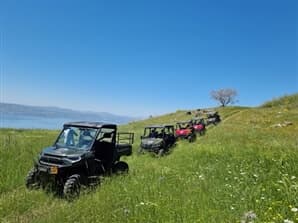 תמונה של גו גולן - Go Golan