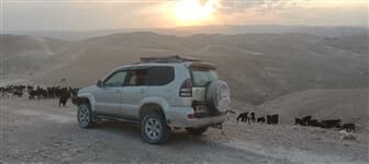 תמונה של בכל דרכיך