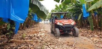 תמונה של ריינג'רים חוף האון