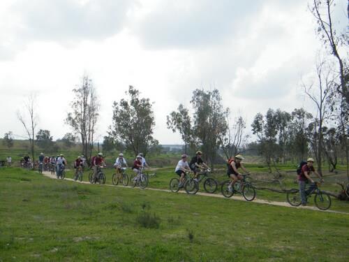 לה מדווש בבארי